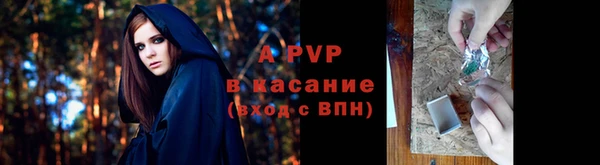 jwh Карпинск