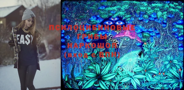 бошки Касимов